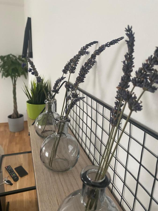 Penthouse West S Apartment Varazdin Ngoại thất bức ảnh